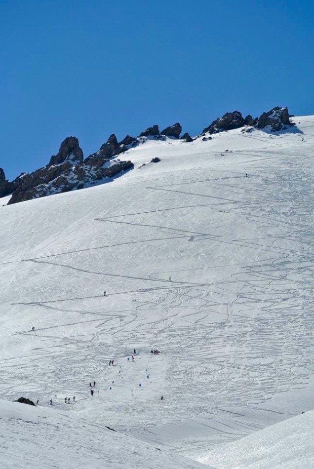 12772037_509477438431_1911878571009133217_o